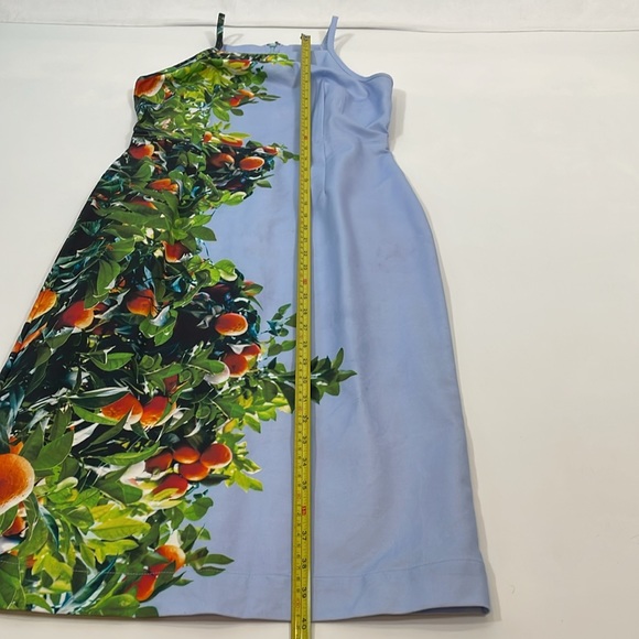 Maeve By Anthropologie Dress Size 4 Midi Blue With Oranges Print - Picture 10 of 13